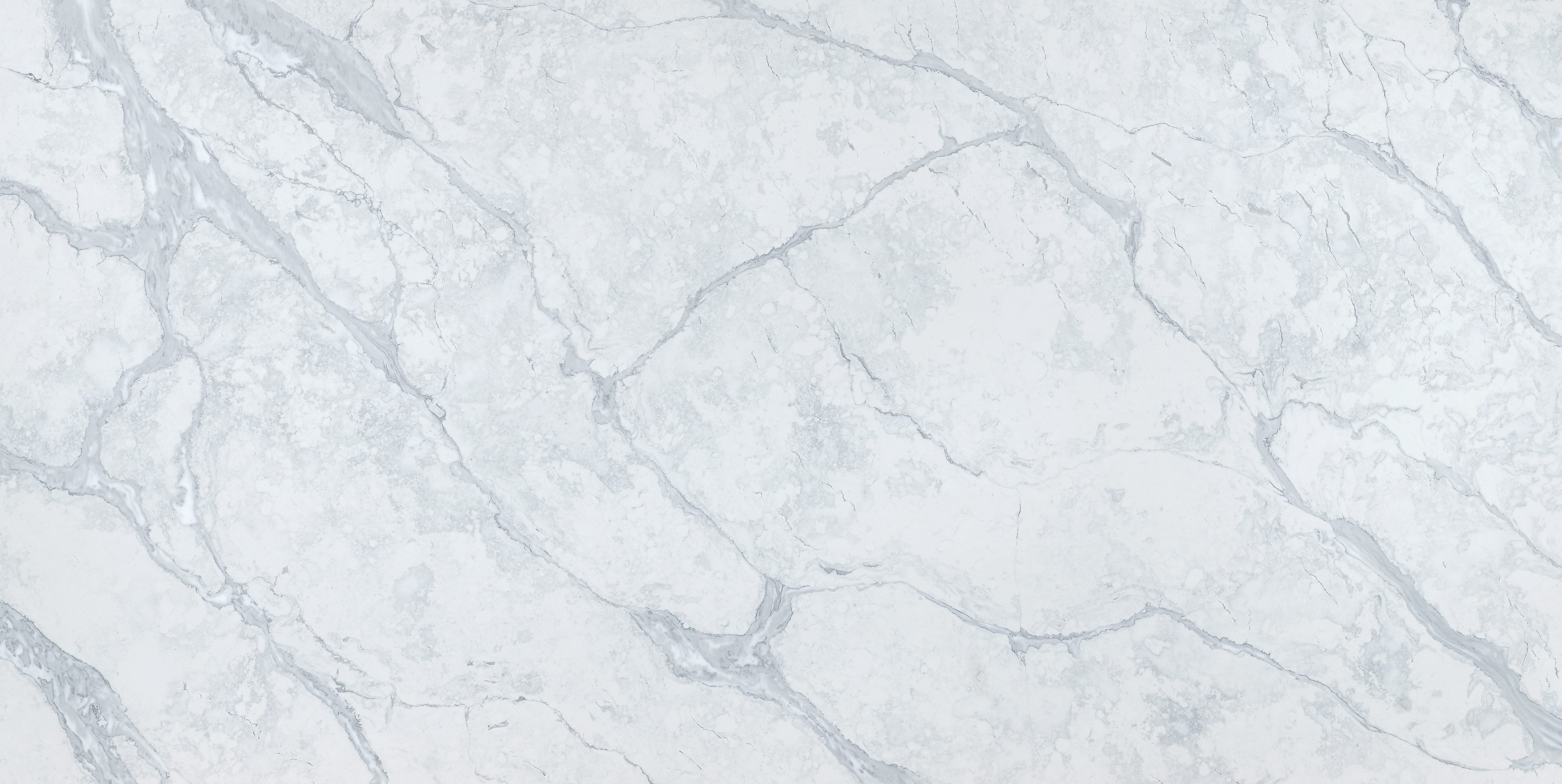 Calacatta Grigio